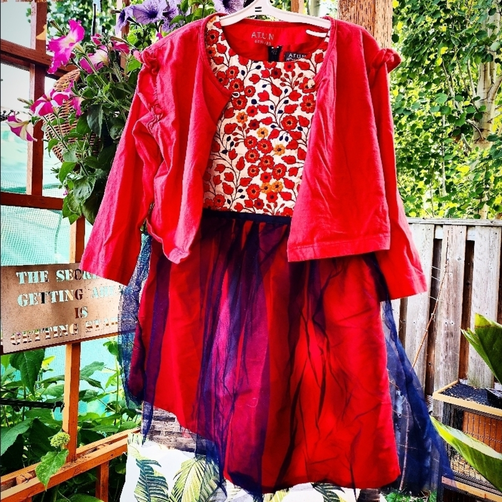 ✨️ Stunning Tulle Dress NWOT ✨️